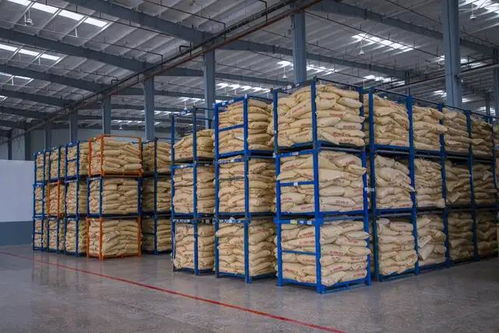 湖北省委书记一行考察卓宝石首生产基地，聚焦建筑材料产业高质量发展