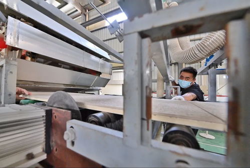 助力碳减排，我市首批8家建材企业获评星级认证